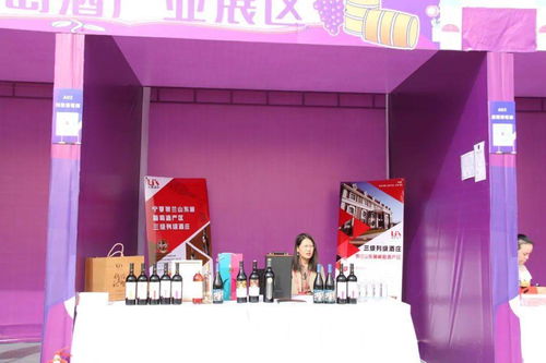 塞上珍品 云尚銀川——寧夏特色農產品營銷與阿里巴巴旗艦店上線活動盛大啟幕