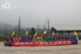 白城戶外拓展指南 優(yōu)選基地、專業(yè)機(jī)構(gòu)與創(chuàng)新策劃方案