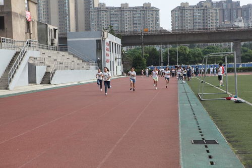 物交院上演趣味素質(zhì)拓展 體驗(yàn)式活動策劃與精彩瞬間