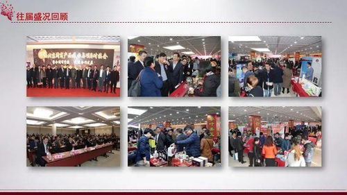 會企聯動促發展，閩韻京華賀新春——第二屆北京閩商產品展示與項目對接會暨京福街年貨節發布會及體驗式拓展活動側記